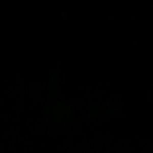 Meet your Posher, Cesar